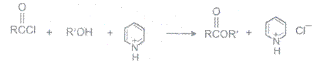 Aldehydes, Ketones, Carboxylic Acids, CBSE, Class XII, IIT JEE, Syllabus, Preparation, AIPMT, NCERT, Important